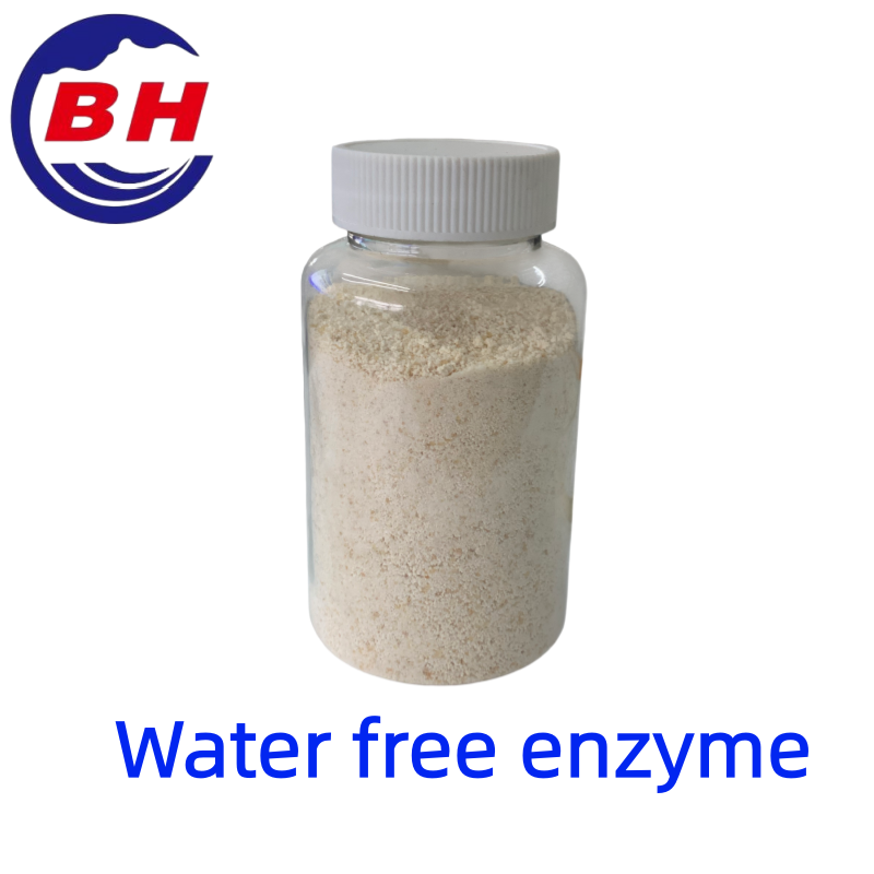 Enzima H8811 senza acqua