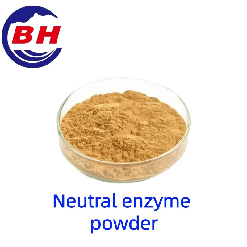 Enzimaneutro in polvere H8813